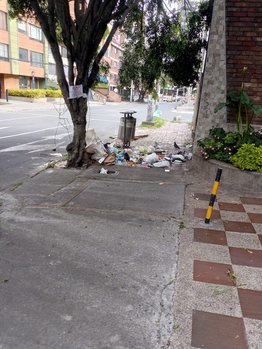 binnie_la's tweet image. Necesitamos que quiten esa caneca de alla. La calle tiene otras 3 pero como ese punto de noche es oscuro, todos botan la basura de cualquier manera en esa. Se ha denunciado el punto que además se hacen expendedores de droga @cathe_ch @SectorSalud @AlcaldChapinero @Citytv