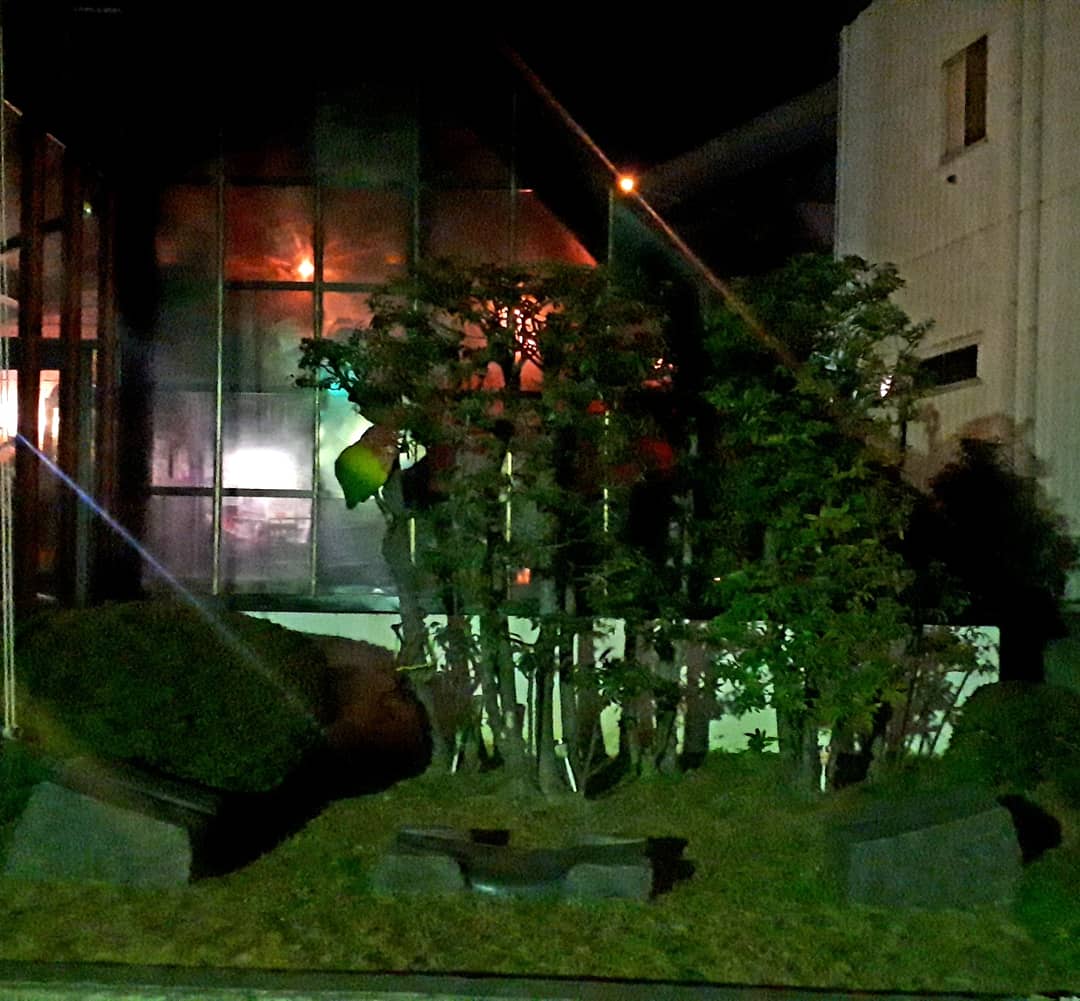 2026.1.2.
2024.7.8.よりLIZUBAUN は休業中ですが、本日1月2日、49周年目を迎えることができました🎍