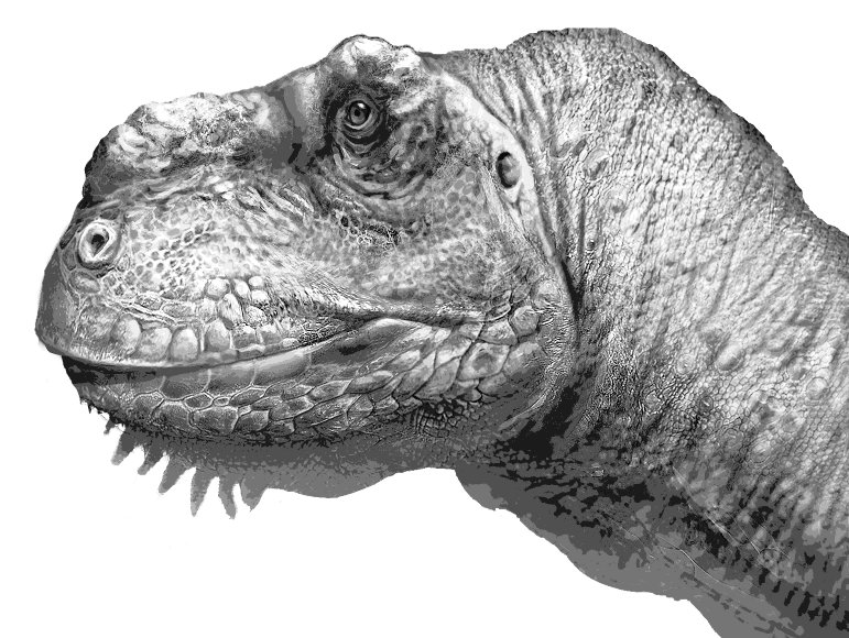 ian 🐛 tweet media