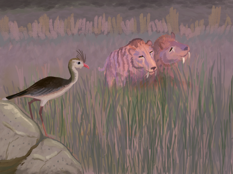 Tupandactyl's tweet image. Twilight on a #Pleistocene plain of Uruguay. 
Two sabertooths from different continents, crossing paths in deep time.
(Red-legged Seriema, Smilodon fatalis and Smilodon populator)

#PleistoceneCrossing #Paleoart #Smilodon
