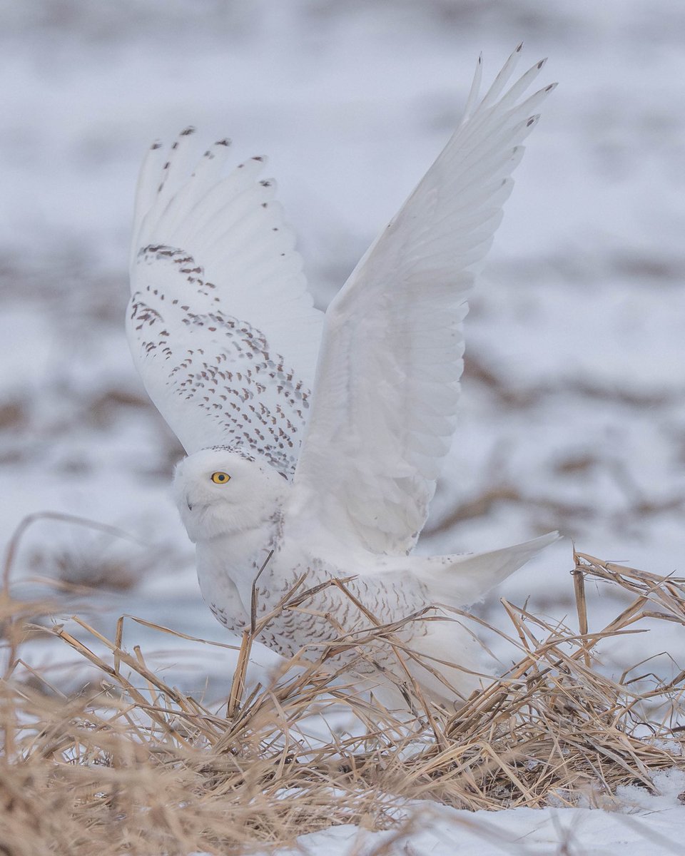 Joe Gowac (@joegowac1) on Twitter photo 