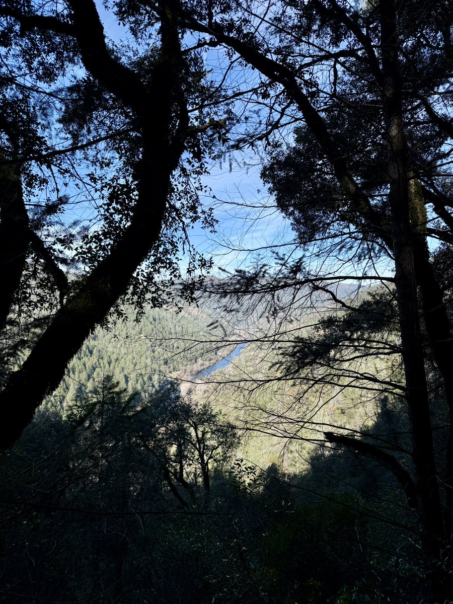 preeti ♥️ tweet media