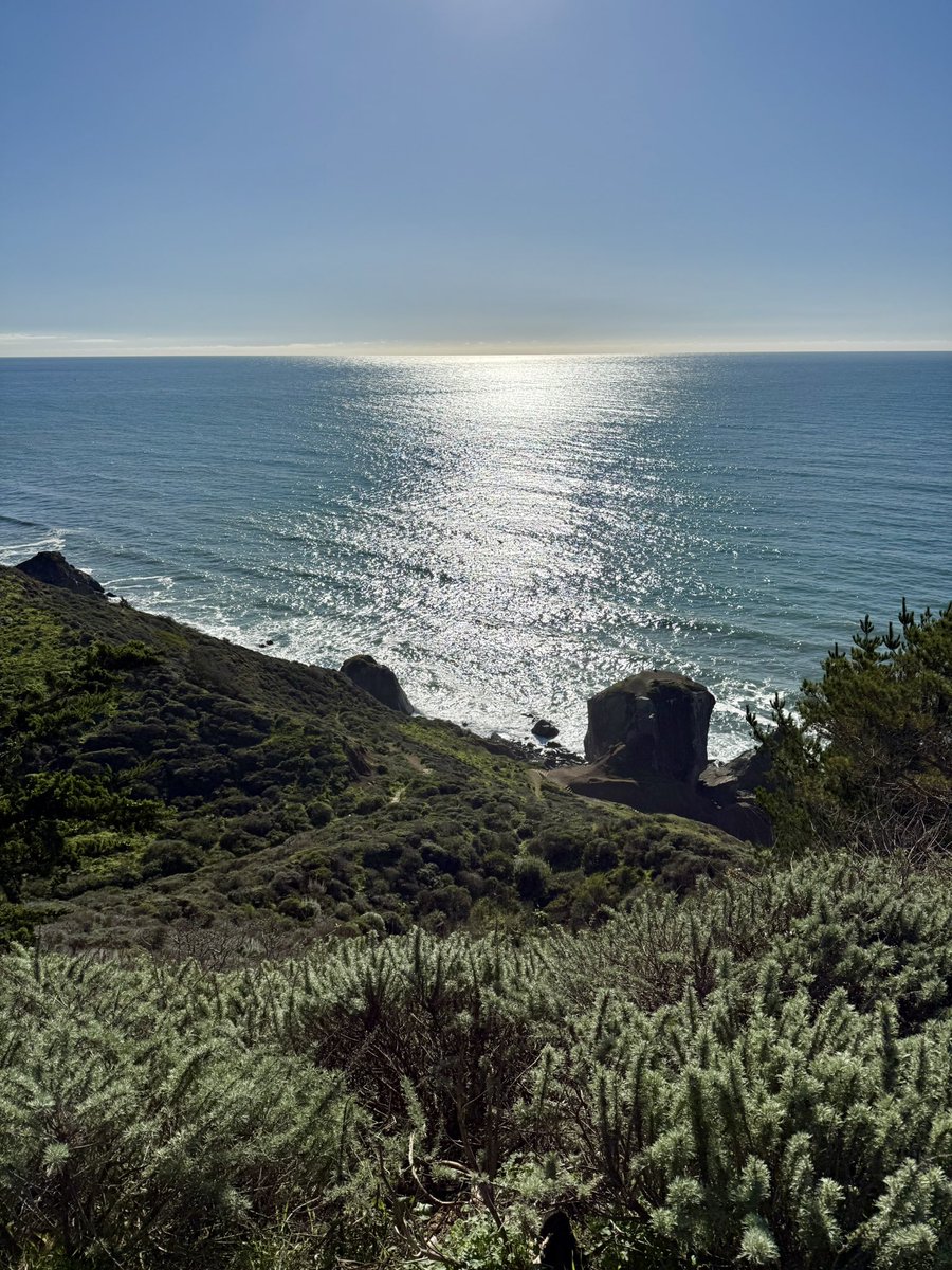 preeti ♥️ tweet media