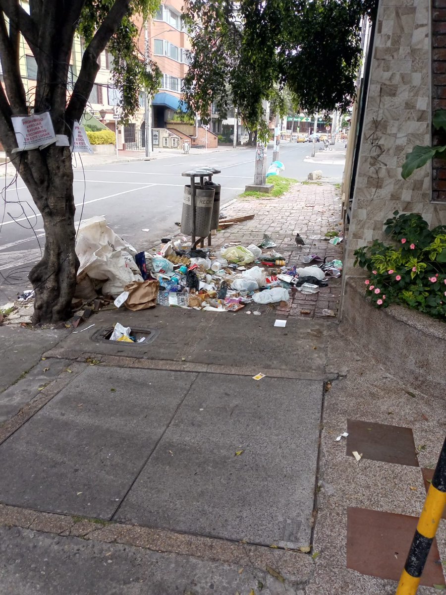 binnie_la's tweet image. Solicito mediante derecho de petición que remuevan esa caneca  que no queda en frente de ningún edificio, es zona oscura y peligrosa de noche, y permite acumulación de basura, rcd, ratas. Cra 8 con calle 65 esquina norte. @cathe_ch @AlcaldChapinero @SectorSalud @carlosf