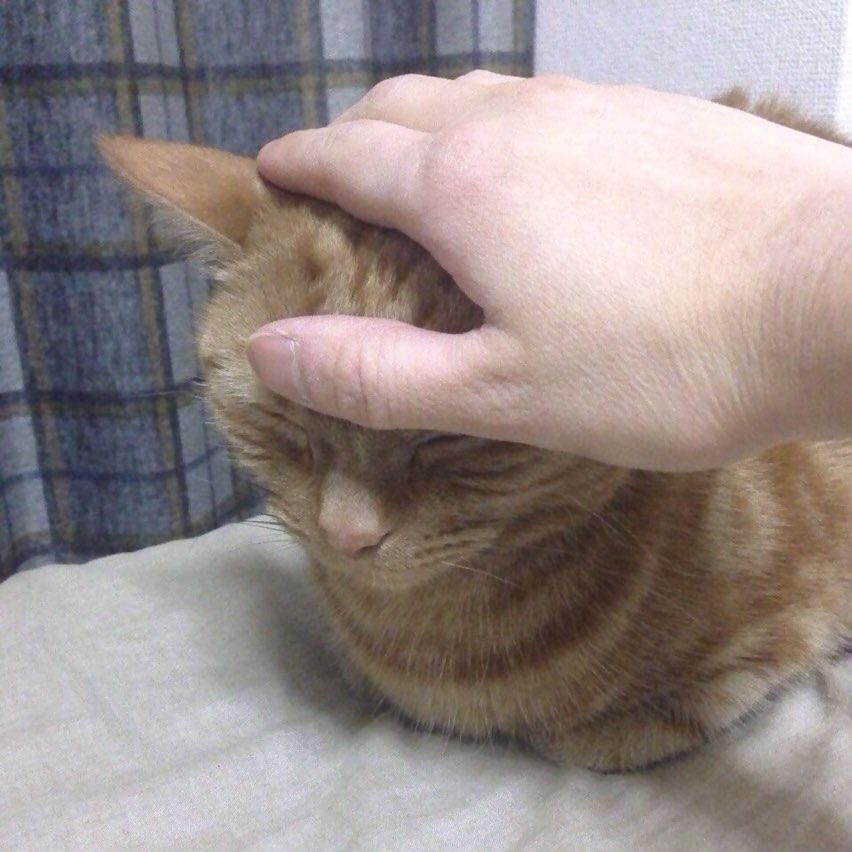 foxiix4's tweet image. 엥? 똑같잖아