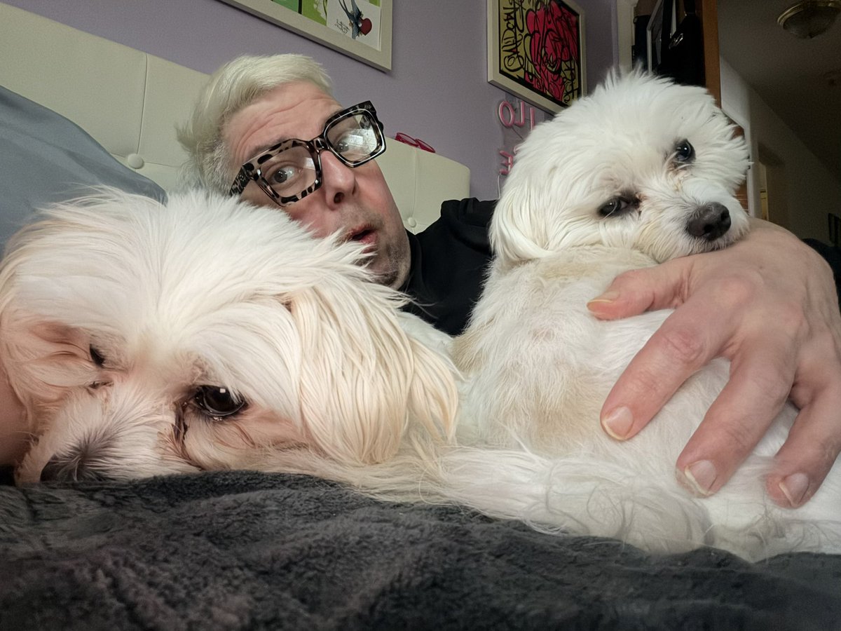 Watching my 4 year old Maltipoo and our new addition, the biologically unrelated but very much loved 9 year old Maltese behaving like siblings and cuddling up next to each other and sleeping like this for hours is both amusing and heartwarming to me. 🩷