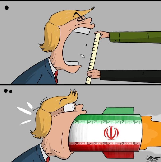 Mizgol's tweet photo. Iranians' answer to America's carrot !!

#shutuptrump https://t.co/61QOxBrerg