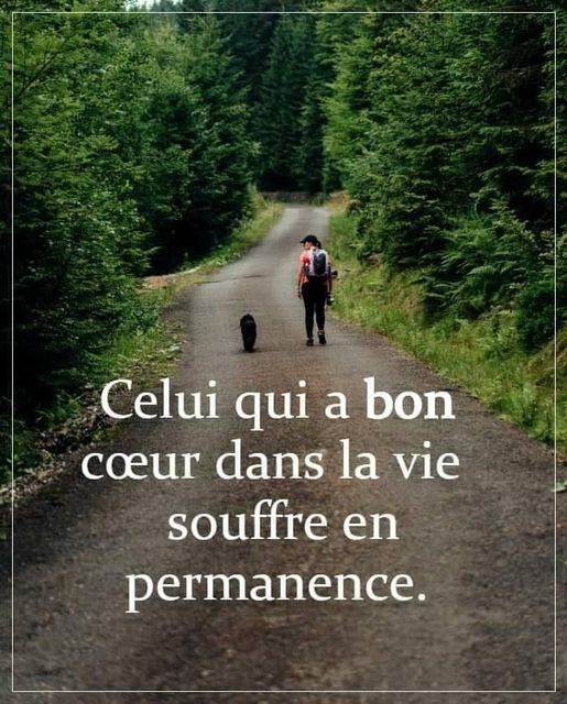 Sagesse Pure tweet media