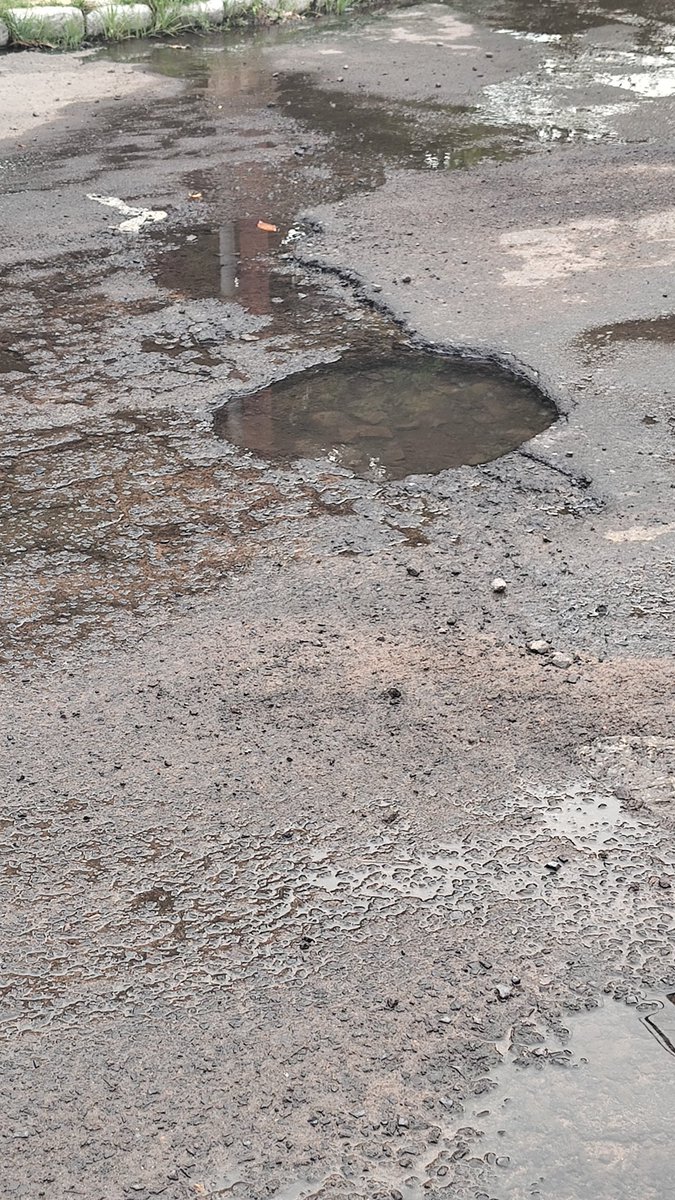 javier pettengill tweet media