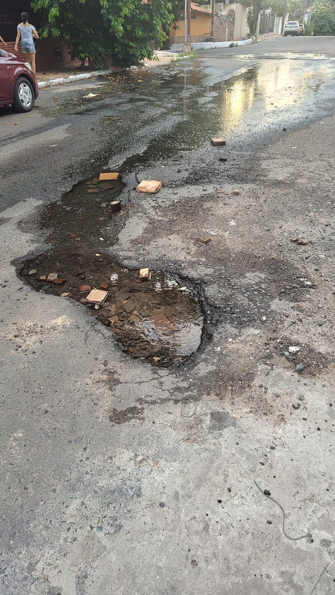 javier pettengill tweet media