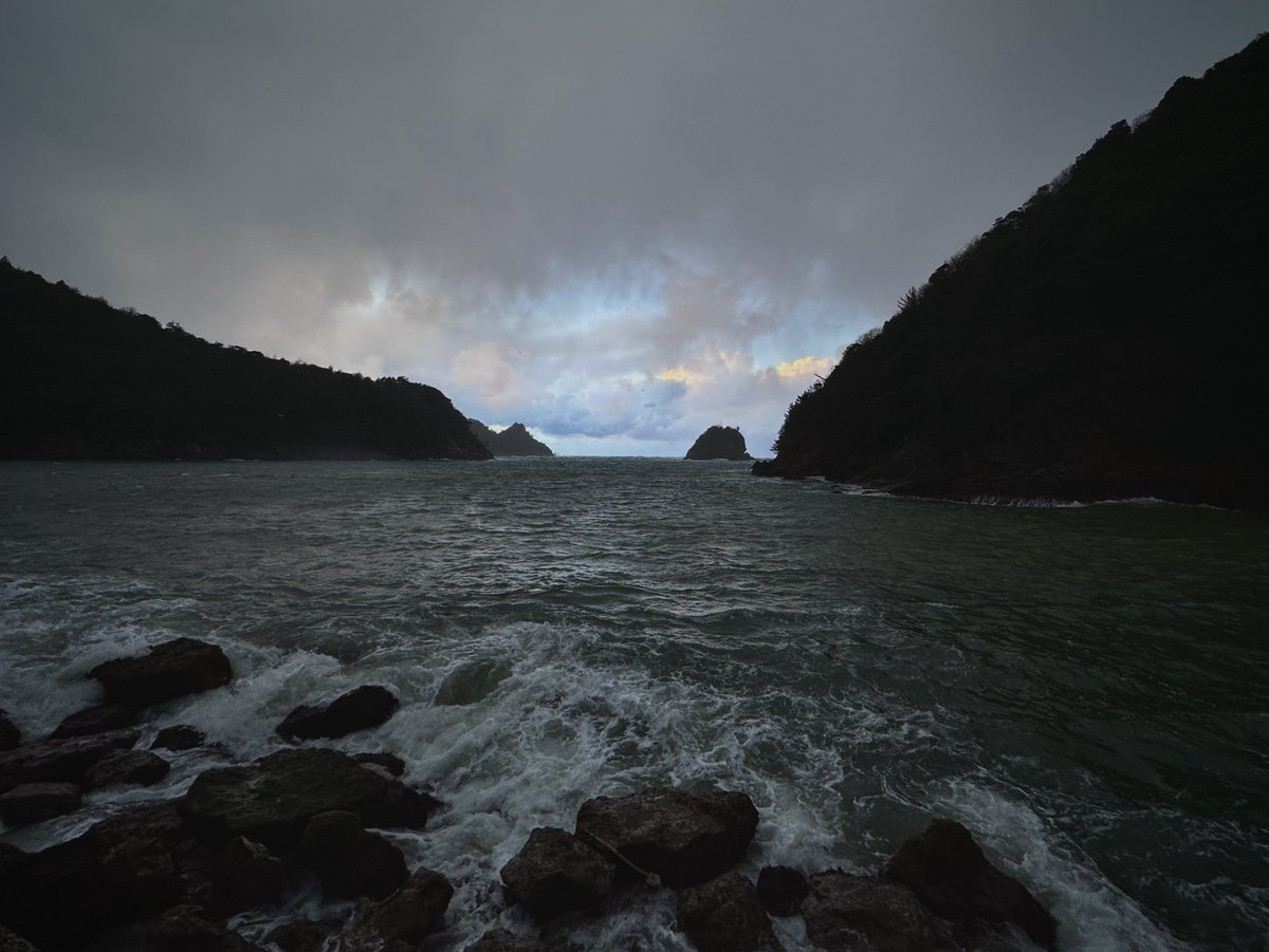 海月 ゼニス】とにかくカッコイイ ムーンフェイズ搭載時計「クロノマスター