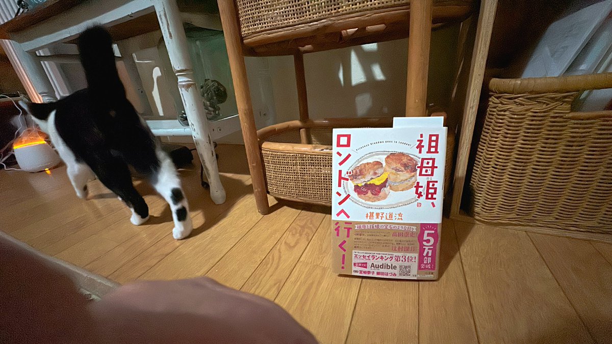 moji mojico (@moji_mojico) / Posts / X