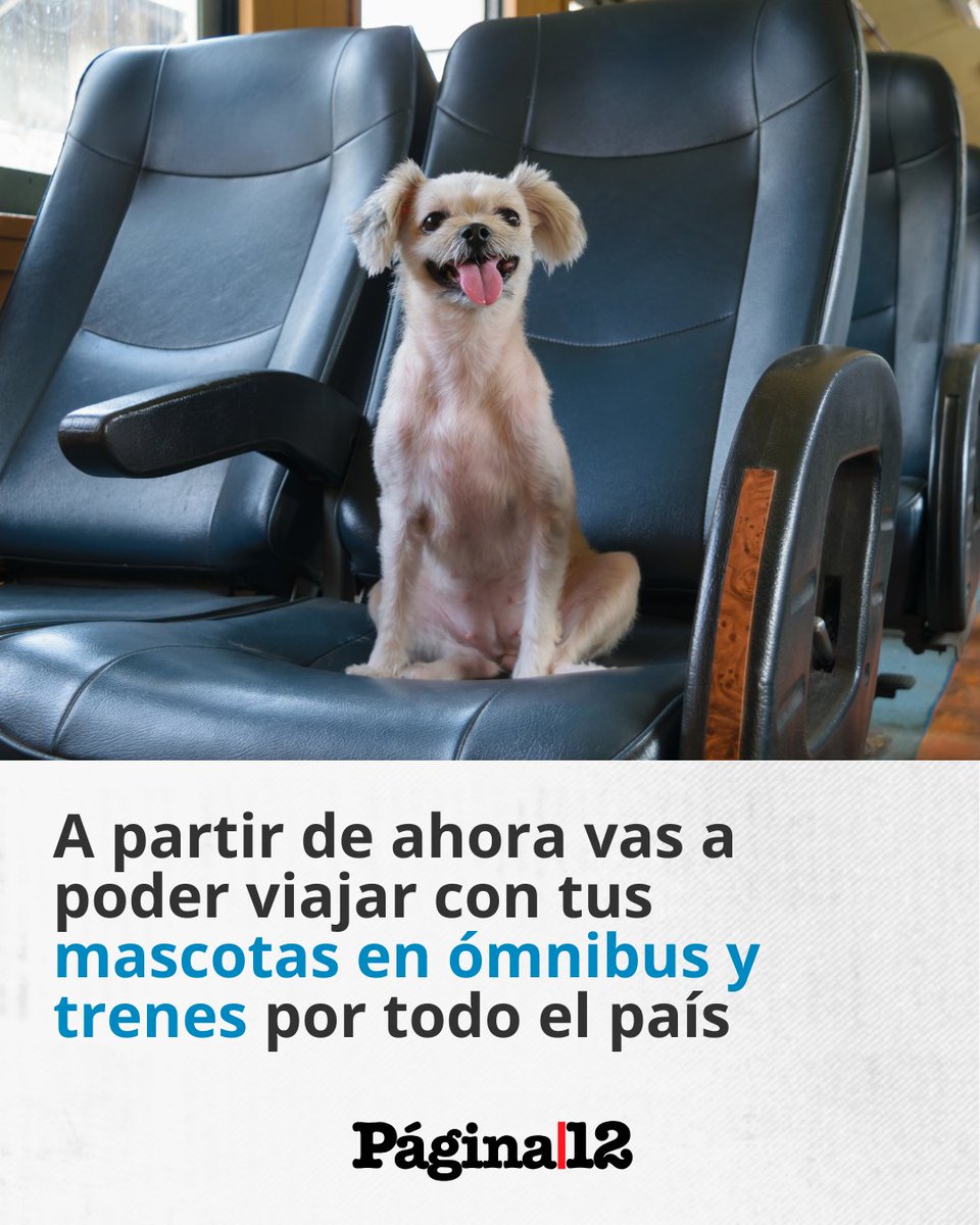 Página|12 tweet media
