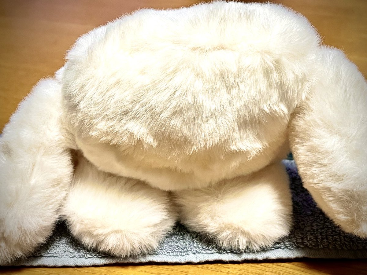 かきもちくん (@kakimochikun) / Posts / X