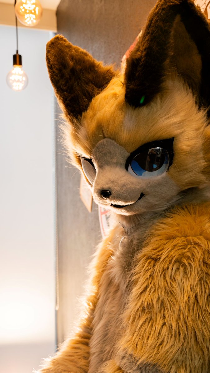 shellpwe's tweet image. #FursuitFriday #fursuit #着ぐるみ

📸 : @nachani77