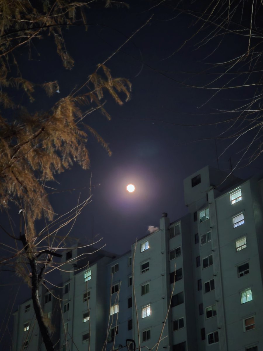 coldsun11's tweet image. 추위에 익숙해질 때쯤 새 계절이 오겠죠. 당신의 부재가 익숙해질 때쯤 다시 오실 건가요?