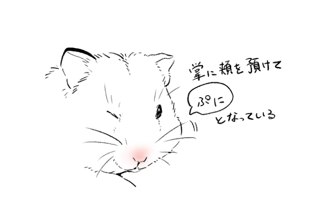かわいいの解説 