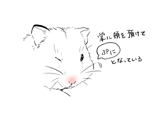 かわいいの解説 