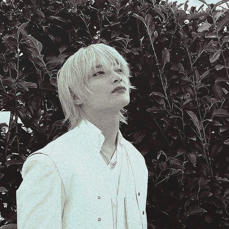 foxiesovl's tweet image. ⠀⠀⠀⠀⠀
⠀⠀⠀YANG   JEONGIN  ／  STRAY  KIDS.⠀
⠀⠀⠀⠀⠀ ⠀𝒇ennec  fox  𝒔hapeshifter.
⠀⠀⠀⠀⠀⠀⠀⠀⠀