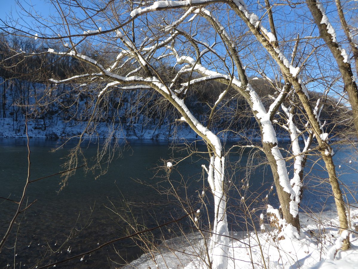 After a fresh showfall, one hears the perfect "Sound of Silence", along the Potomac River.