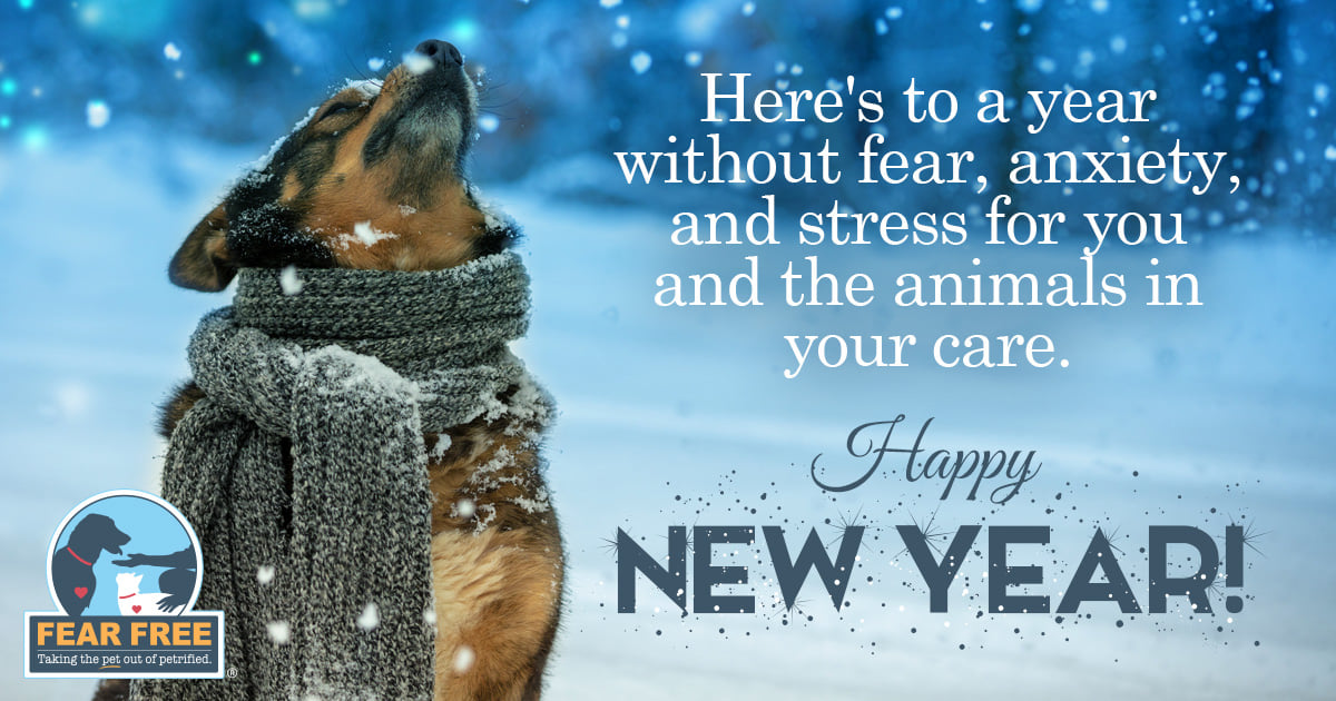 BMAH121's tweet image. Here's to a year without fear, anxiety and stress for you and the animals in your care! Happy New Year! bellemeadanimalhospital.com/blog/achieving…  #BMAH #FearFreeProfessionals #Pets #FearFreeExams