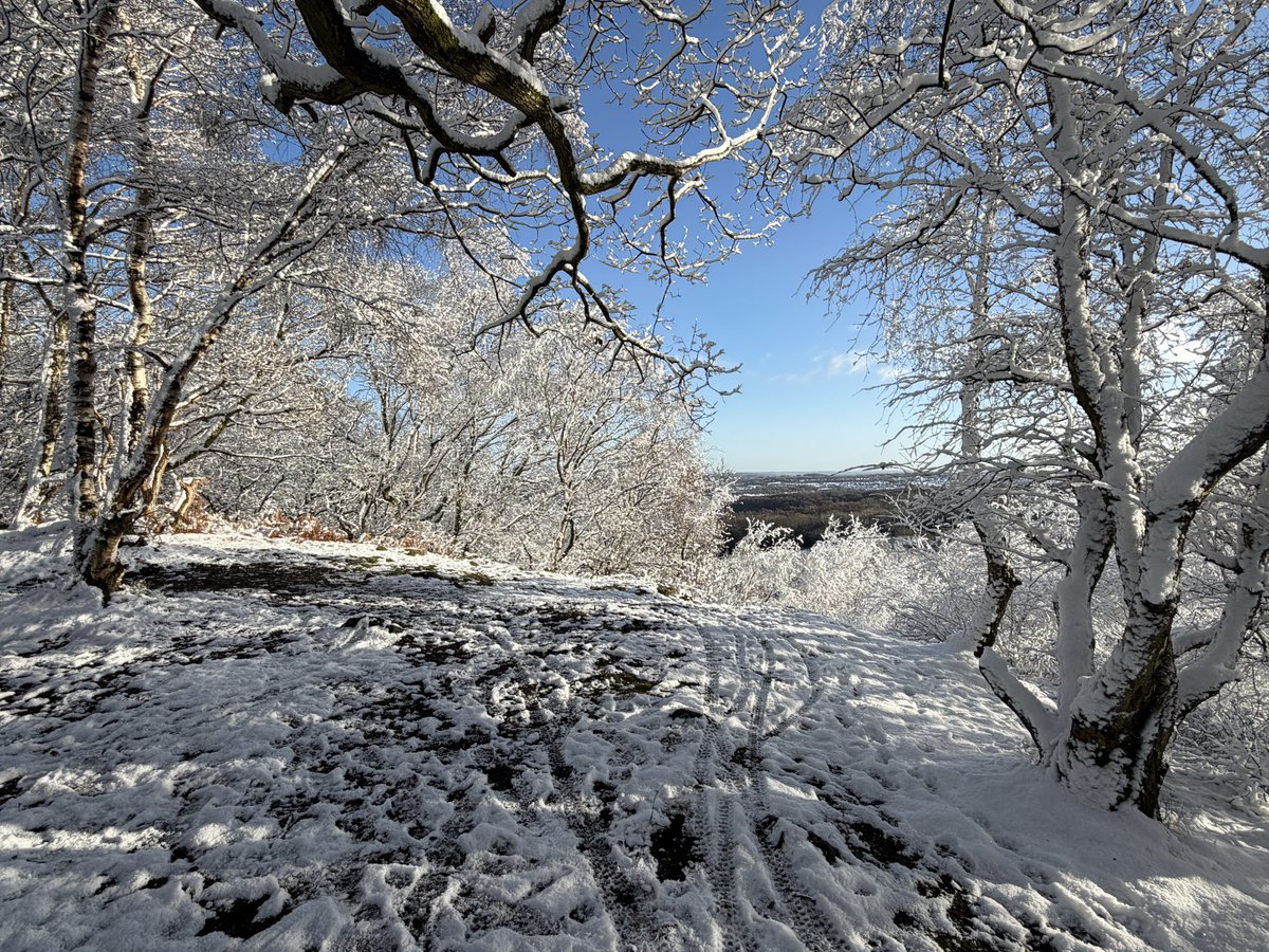 ManelRoura's tweet photo. I really enjoyed a nice stroll at #Ercall with a wonderful scenery this morning #Telford #Shropshire https://t.co/DWVZJLKYM7