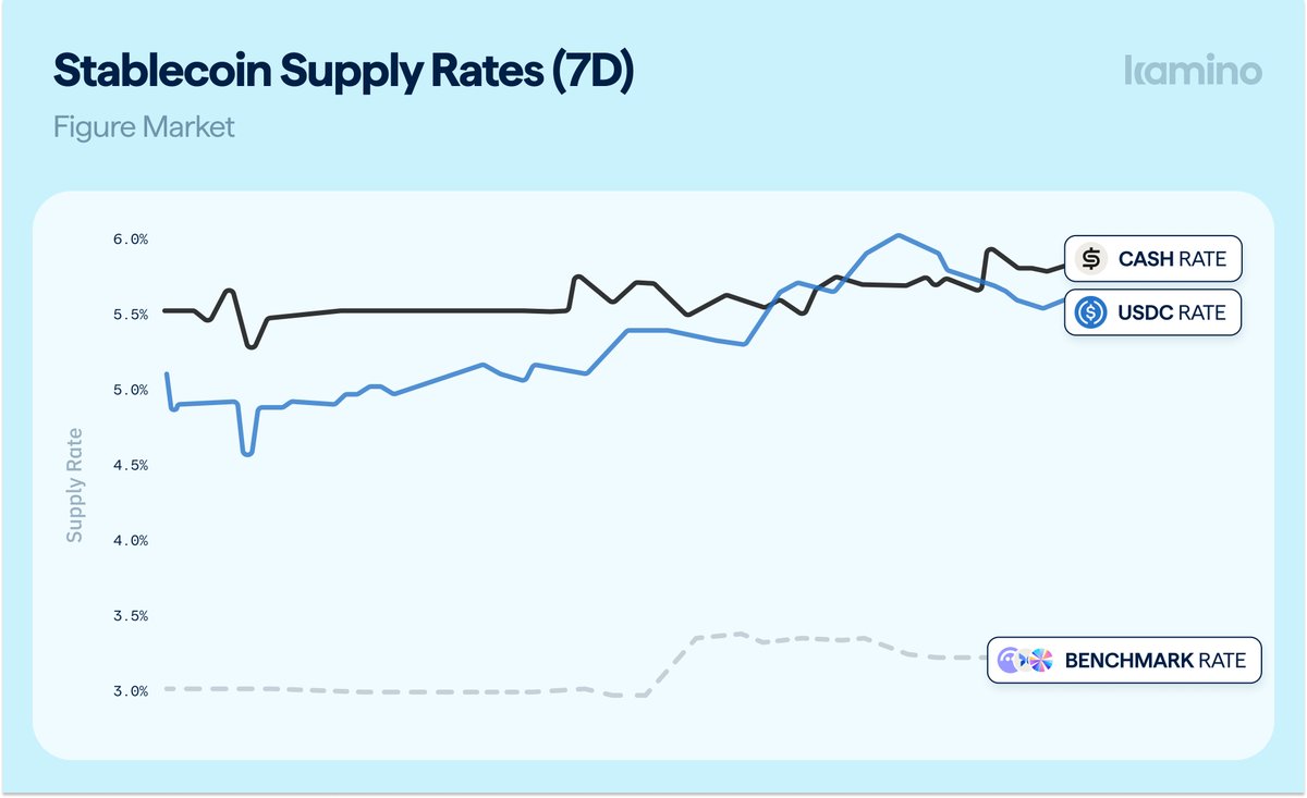 Dawid | Kamino (@dawidsnyders) / Posts / X