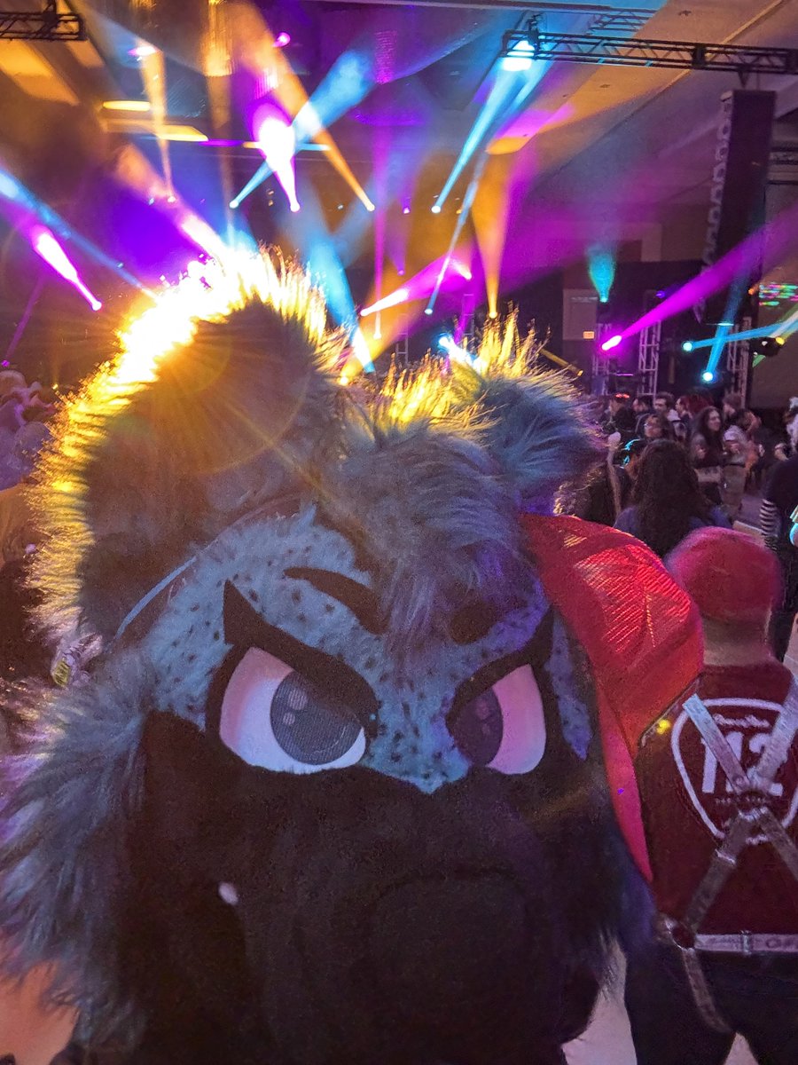 I hope you all have a fantastic #FursuitFriday 
🪡 #2SF