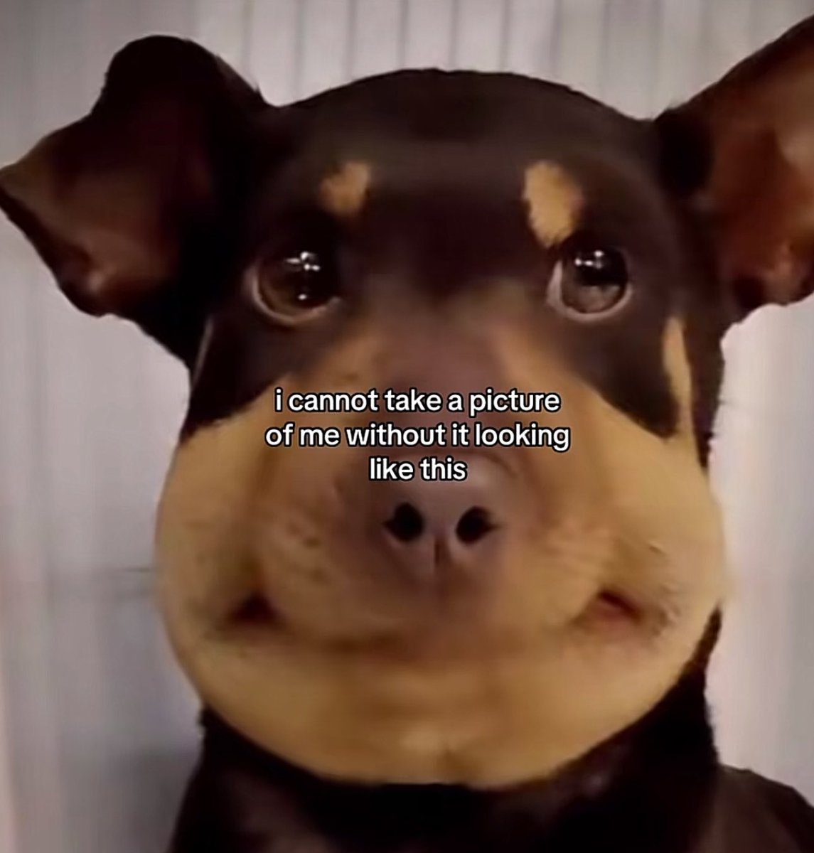 ruscvre's tweet image. HOW DO I GET RID OF FACE FAT