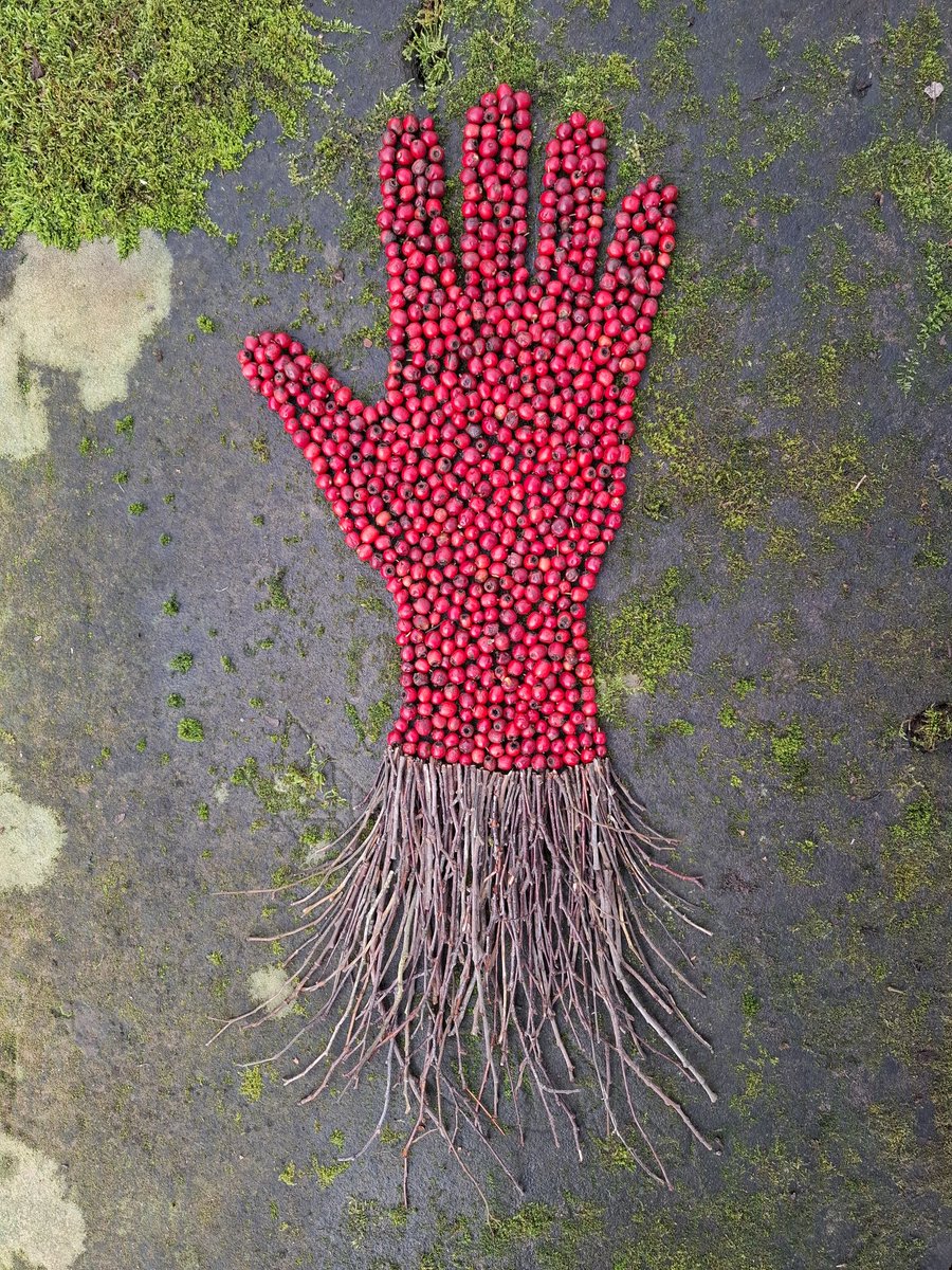 TimPughArtist's tweet photo. Disconnected. Hawthorn berries and twigs. Yeathouse Station Platform,Cumberland. #haws #berries #twigs #hawthorn #station #platform #cyclepath #sustrans #tracksoftheironmasters #temporary #cumberland https://t.co/bOu8Bo1RGV