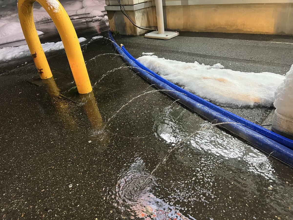 尾久の道民 tweet media