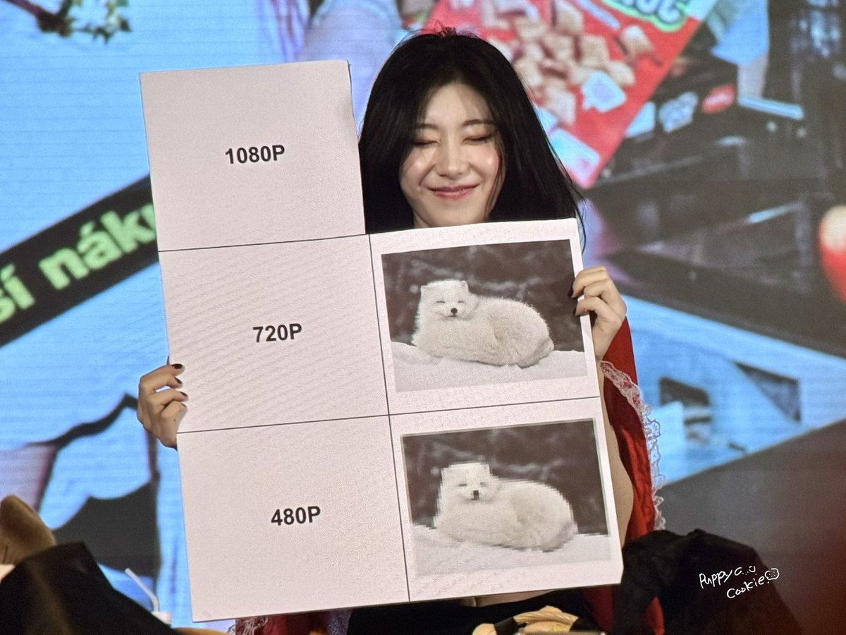 CHAERYEONG BASE tweet media