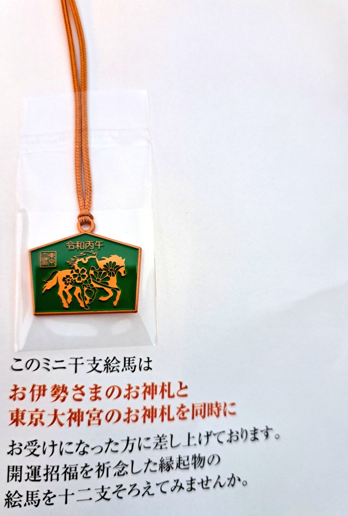 東京大神宮✨⛩️✨ お正月限定御朱印を頂きました🐴🐴 お神札を頂いた