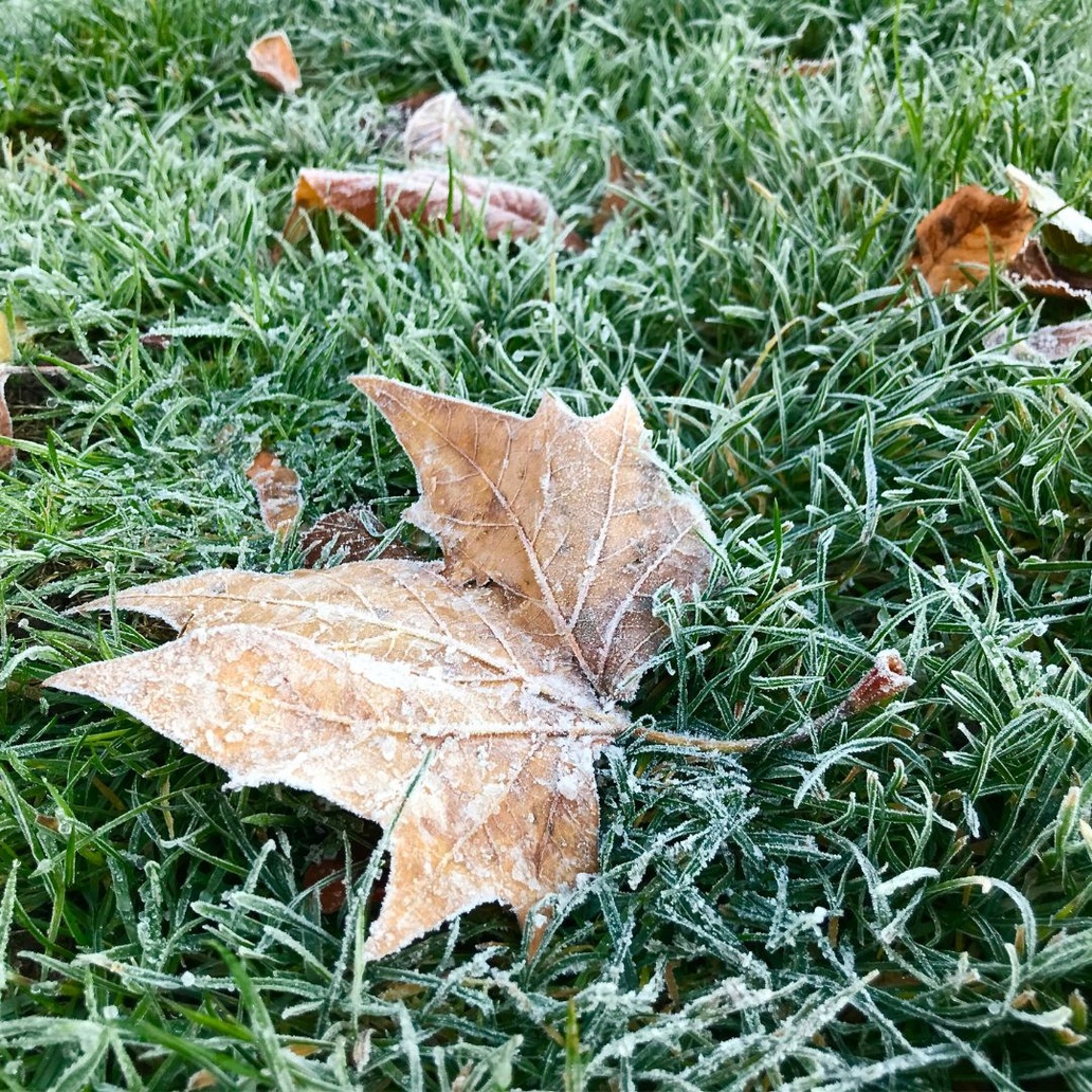 hackneycouncil's tweet image. The Severe Weather Emergency Protocol #SWEP has been activated today to ensure anyone sleeping rough has somewhere safe and warm to go as temperatures drop over the weekend

If you see someone sleeping rough, report their location via @StreetLink_ 

orlo.uk/tRw4j