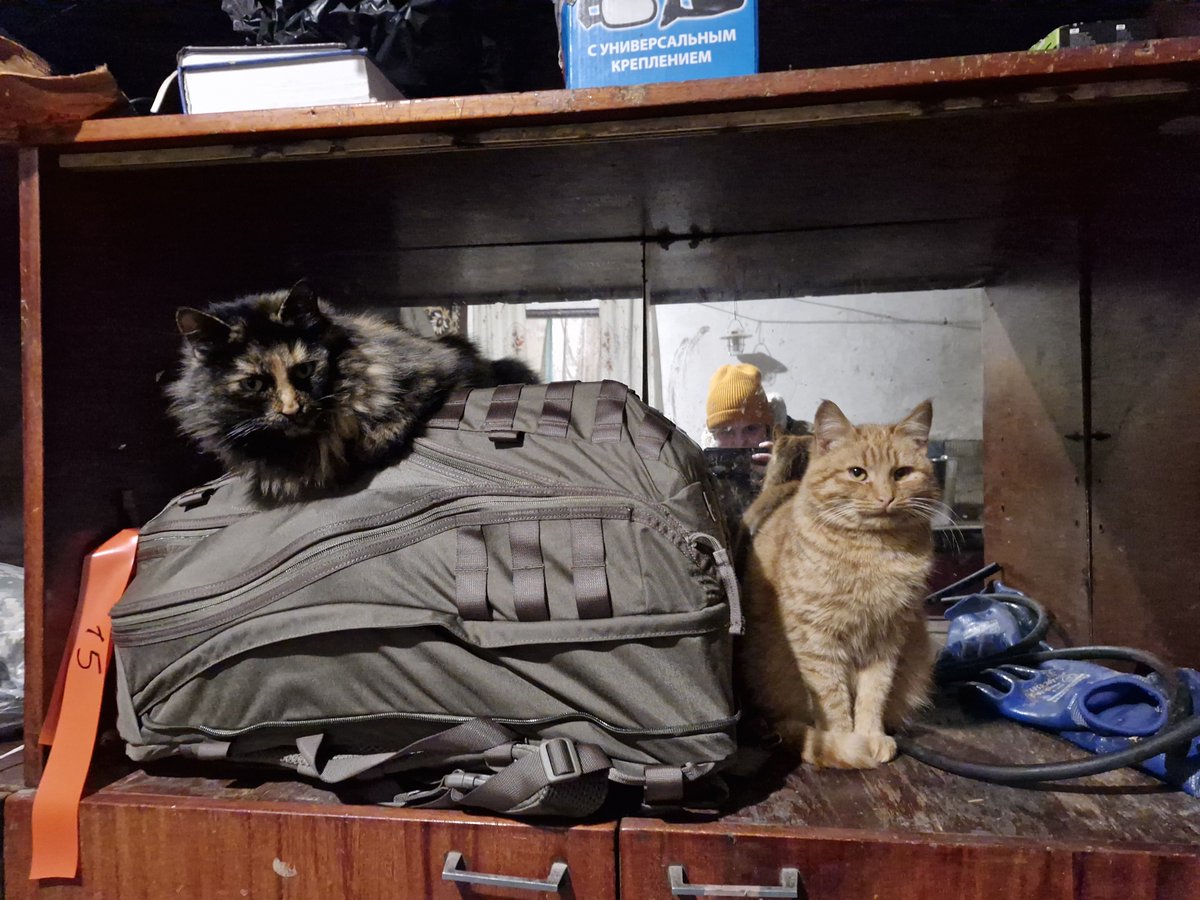 Ми тут збираємо на банно-пральну будку, то якби хтось хотів мене привітати донатом - можна сюди.
Частково уже оплатили і замовили виготовлення, але було б гарно добити і не воняти)
Коти і так чисті

send.monobank.ua/jar/ATVACwYw9p