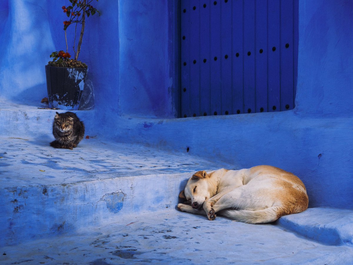 Sean Tucker tweet media