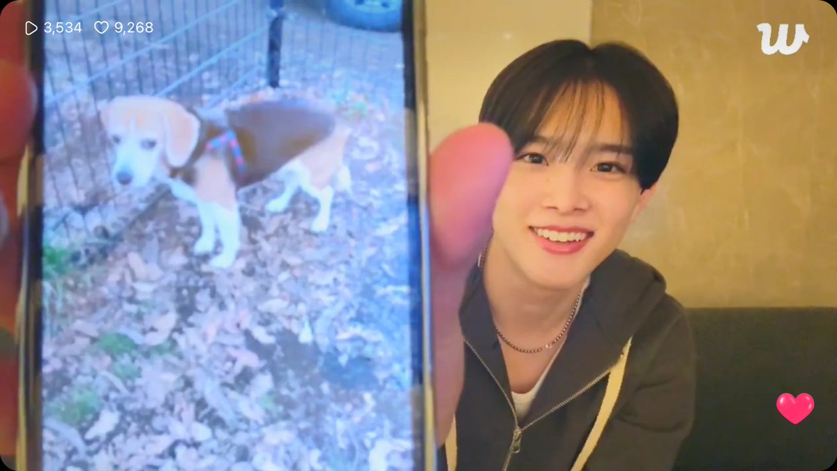 yuzlversclove's tweet image. 유주가 란쨩(유주가키우는가나디…)
새로운 사진을 공유해 줬는데
유주얼굴 엄청 행복해해서 나도좋음 😭😭