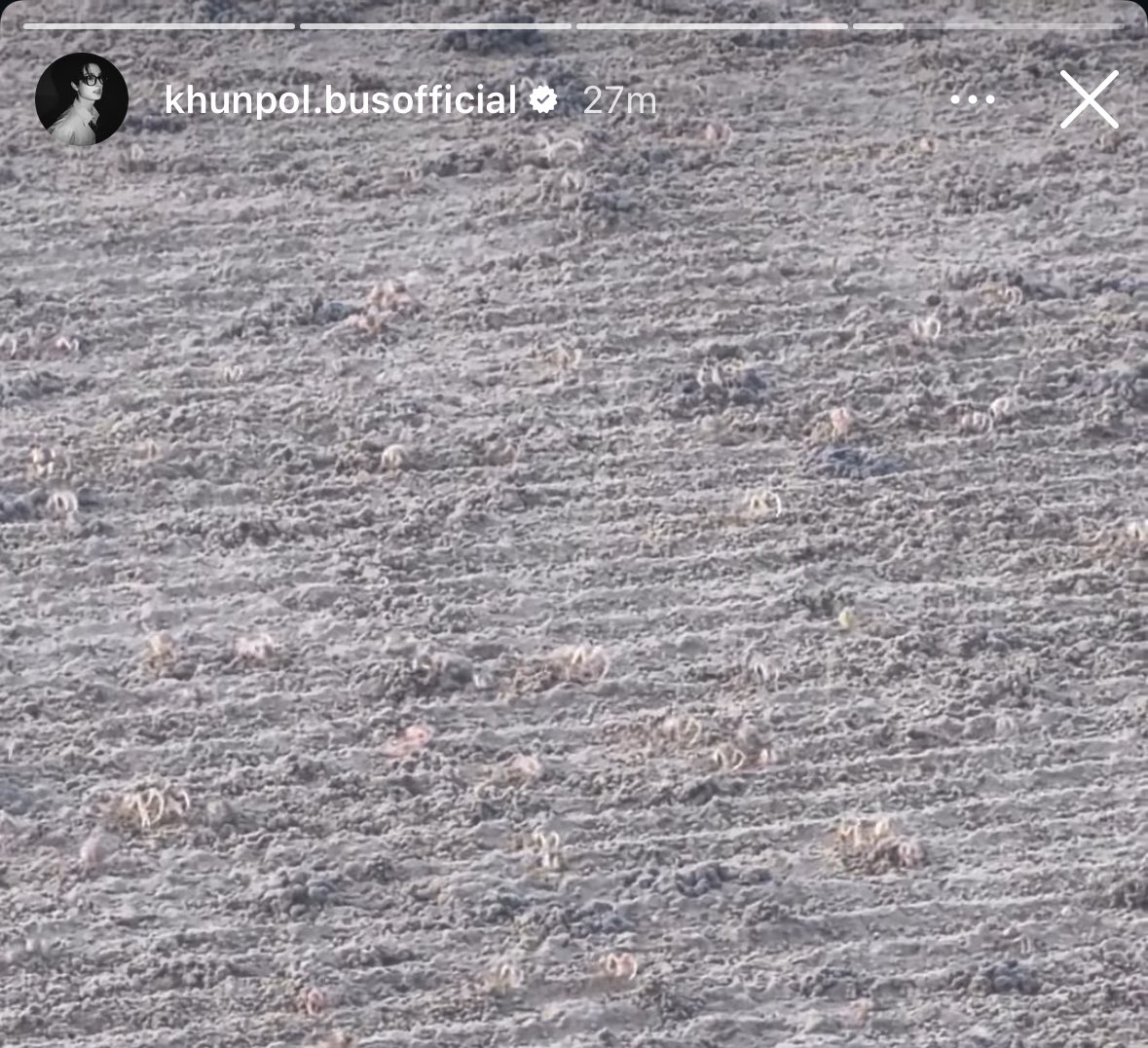 ปูชอง ปองชู เข้าใจแล้วครับพ่อ คิดถึงน้องหวานล่ะสิ ><