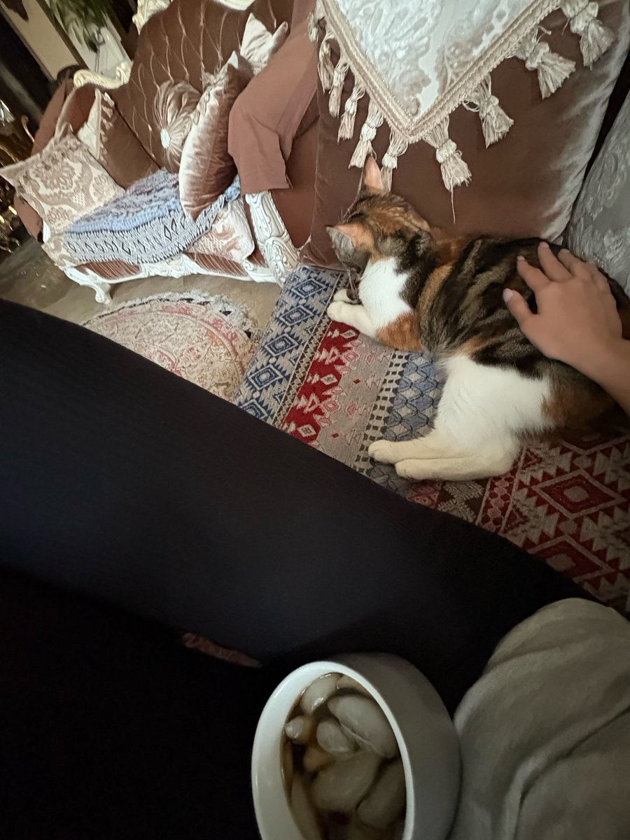 miocrml's tweet image. Girl look at me pls