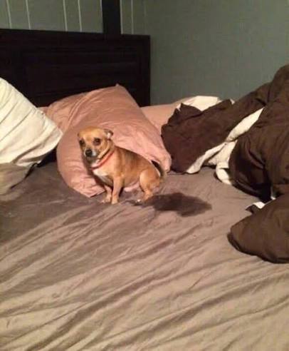 Y ya nisiquiera es Septiembre
#Sismo #Temblor #Terremoto #AlertaSísmica