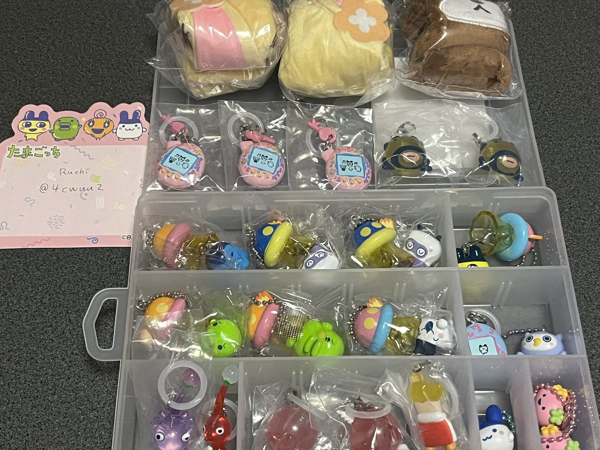 𝙍𝙪𝙘𝙝𝙞 tweet media