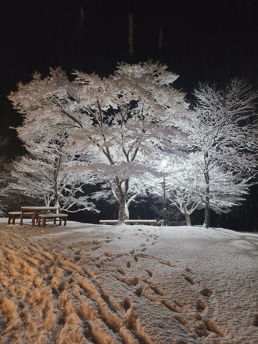 nomekoi_yu's tweet photo. 遅くなりましたが18時、#のめこい湯 周辺、国道411号の様子です。
現在、雪は止みましたが、気温は現在−3度。路面は凍結すると思われます。冬用タイヤでも危険です。運転はくれぐれもお気をつけください。 https://t.co/LZfzamqpmI