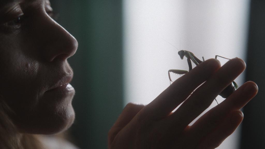 Cryptshow tweet media