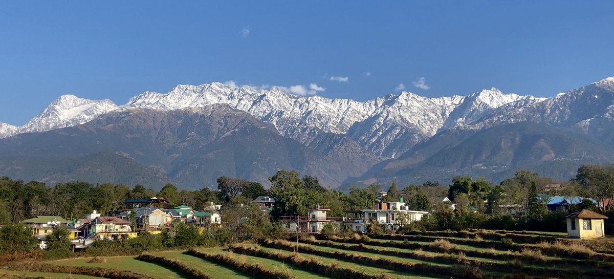 guyfromhills's tweet image. January and snow