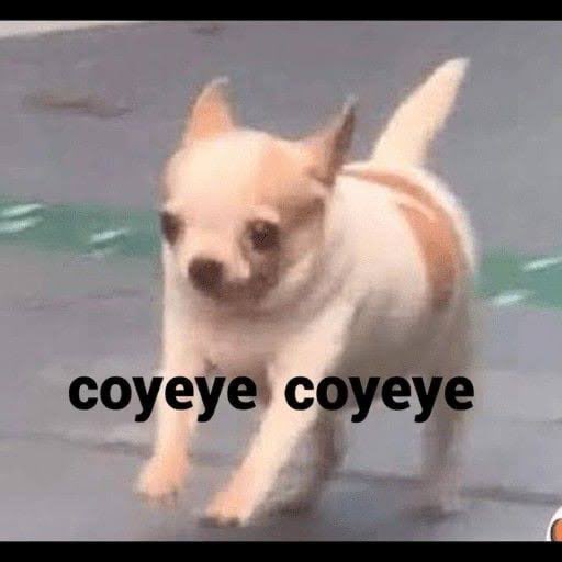 Dualtron_Picks's tweet image. Yo al ver la alerta en el celular #sismo #temblor