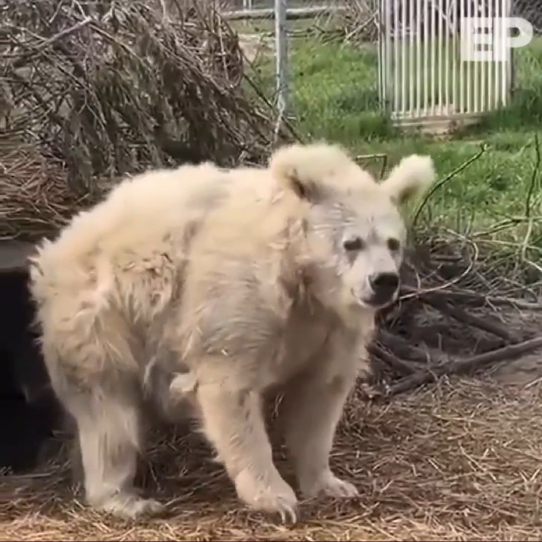 SaintSaw0's tweet image. La alarma del sismo del celular, me cago en su puta madre.
Estoy así 
#sismo