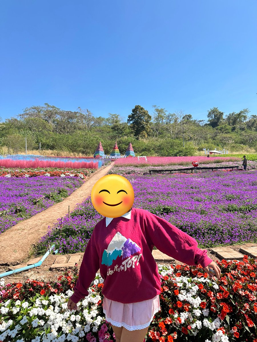 อยากเป็นไอตัวเล็กของใครสักคนจัง
แต่ติดตรงที่เราตัวเท่าหนู