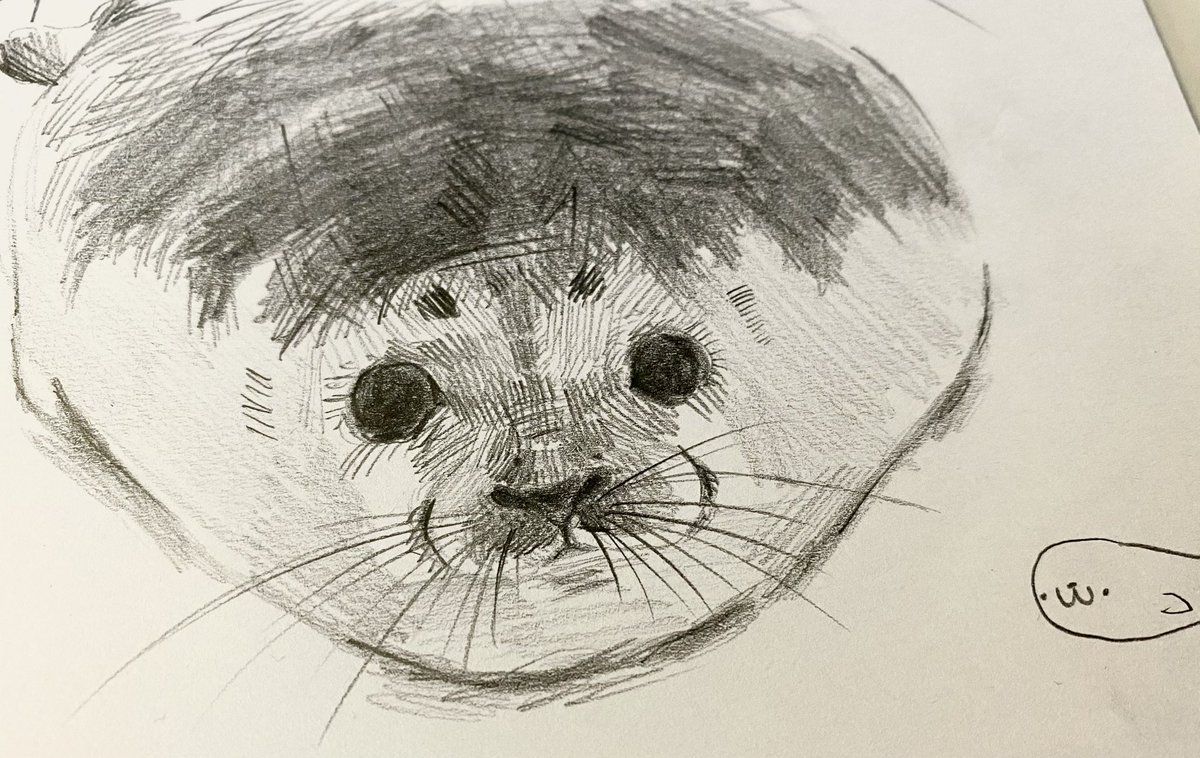 seal on paper