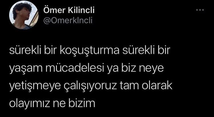 Academic Adventure tweet media