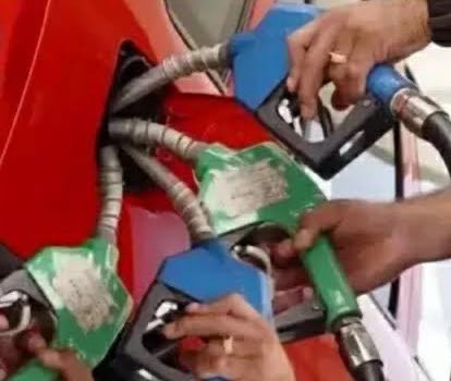 Fernanda uzi tweet media